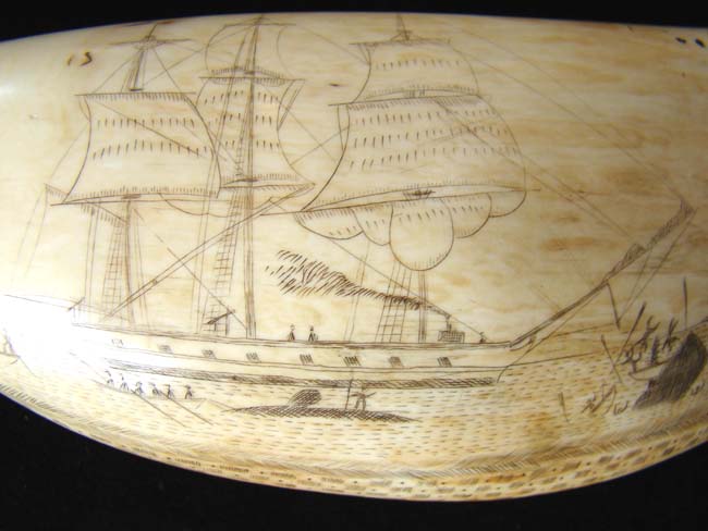 A large scrimshawed Sperm Whale's Tooth depicting a Whaling hunt off the 'Feegee' Islands. — image 7